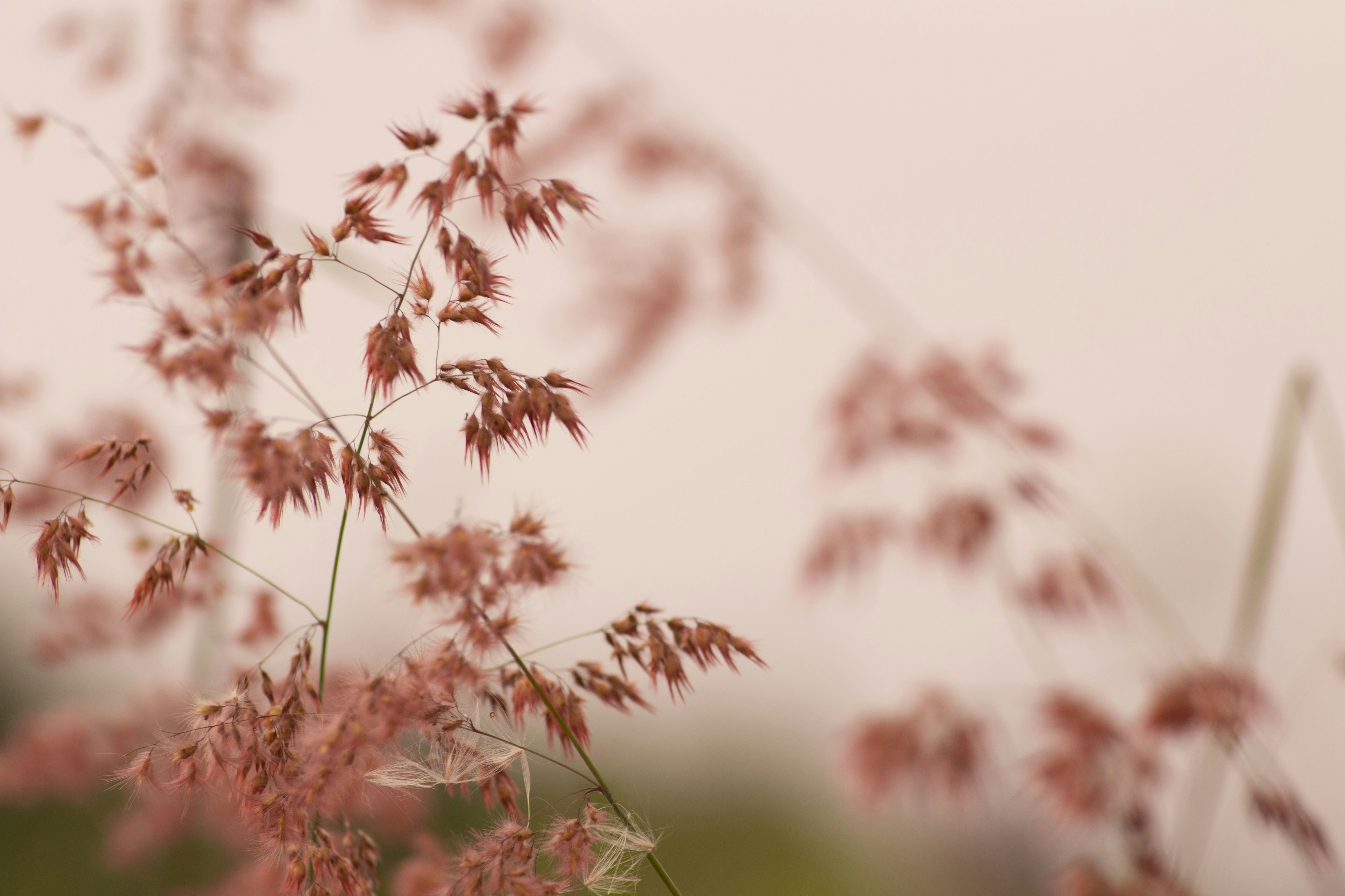 Photo by didinwahyudiin