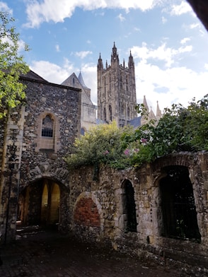 brown concrete building