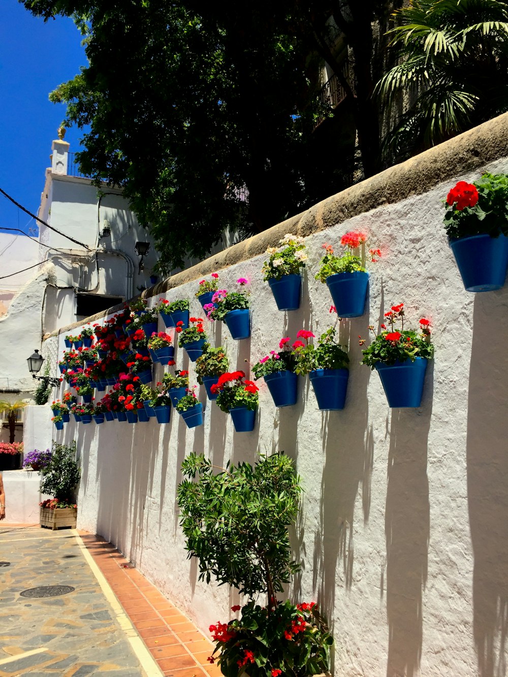 flower in pot hanging on wall during daytime