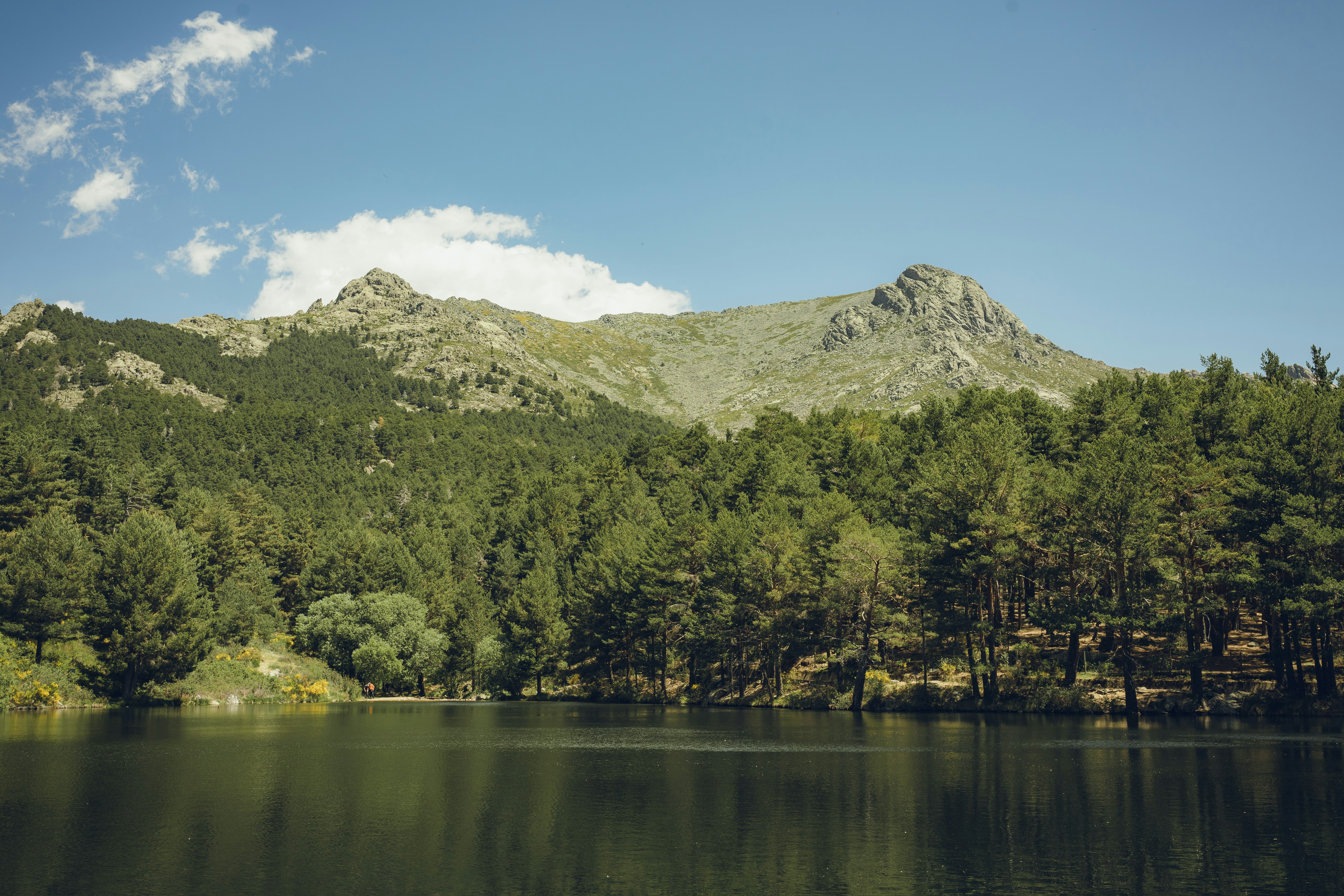 Image by Víctor Elvira Ávalos via Unsplash