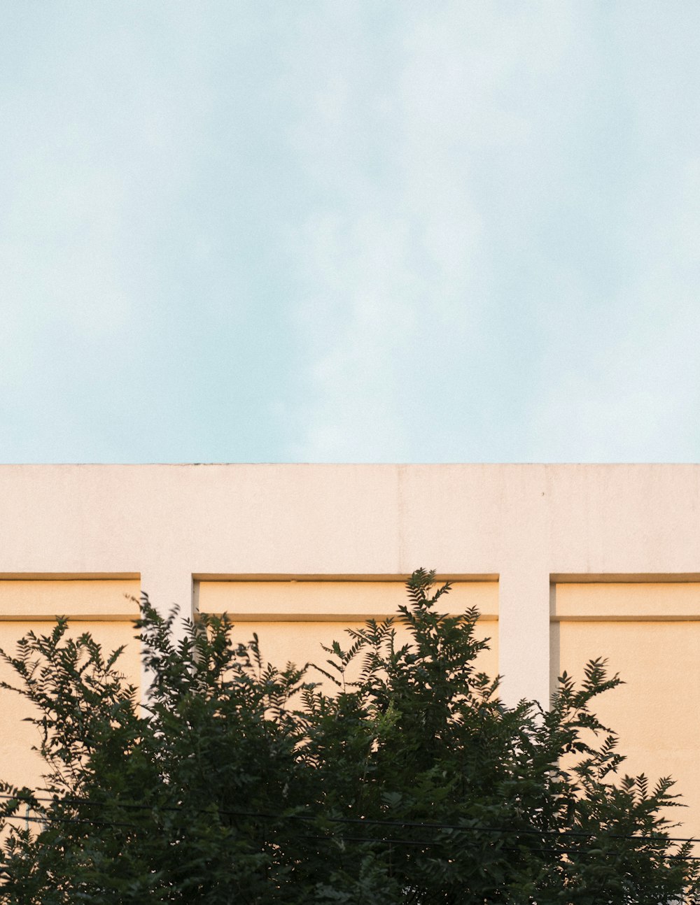 tree in front of beige building