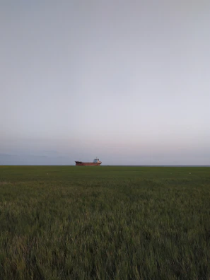 A serene planet surface with a lone explorer’s ship parked under twin suns.