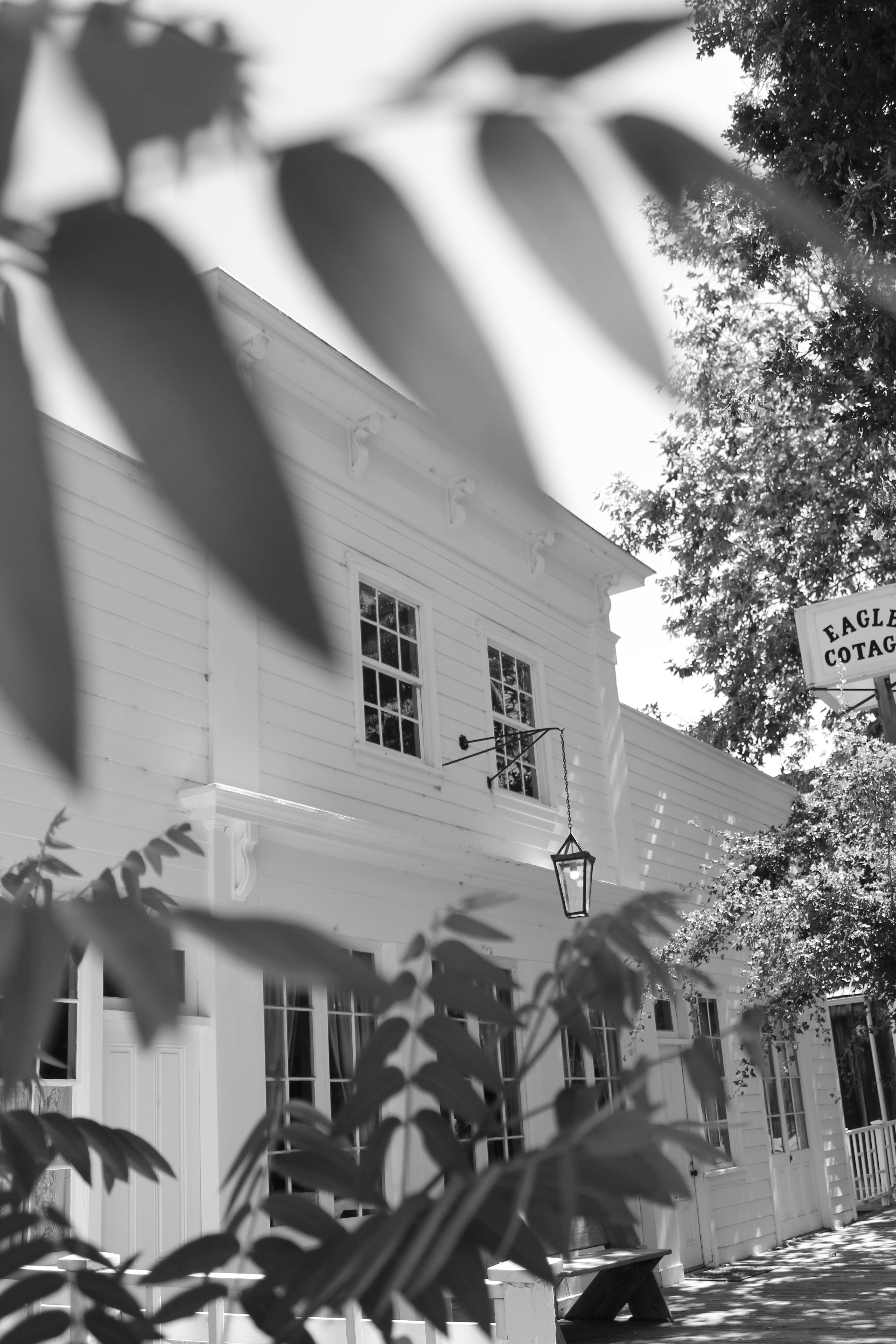 Photo by ianflores23