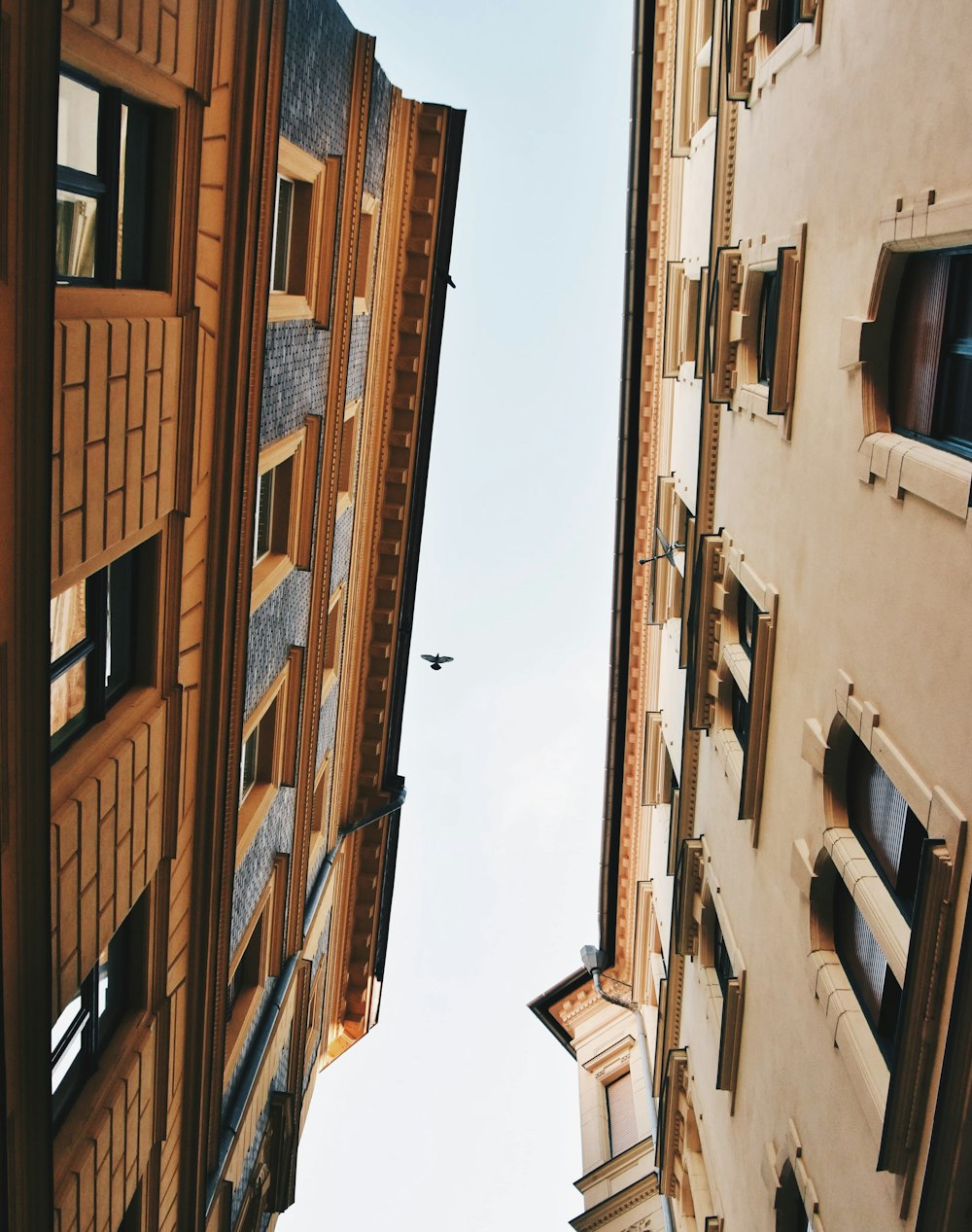 brown painted building