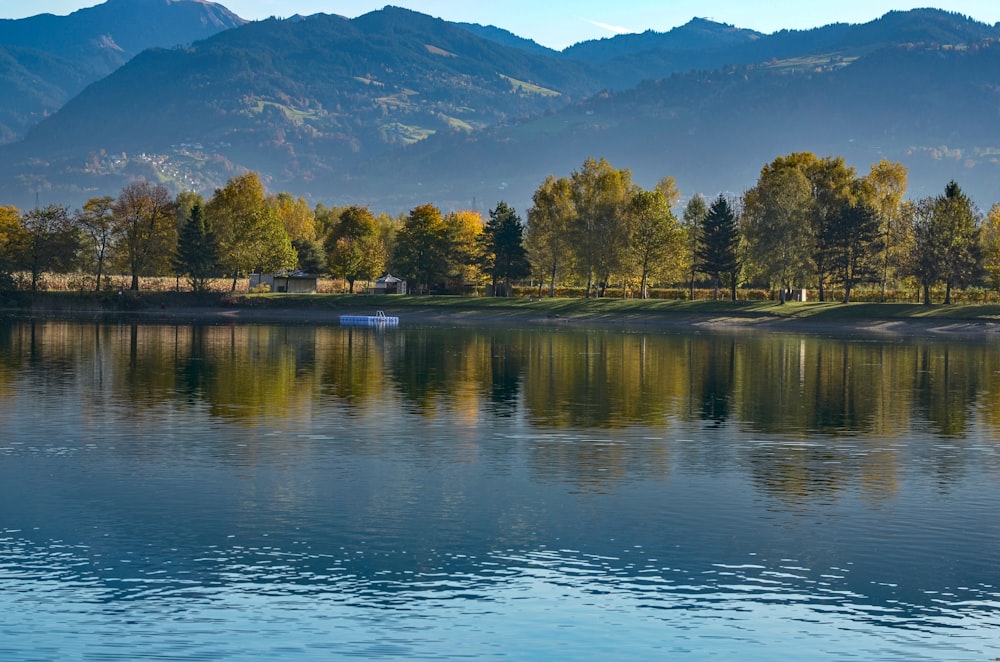 green tree and mountain scenery