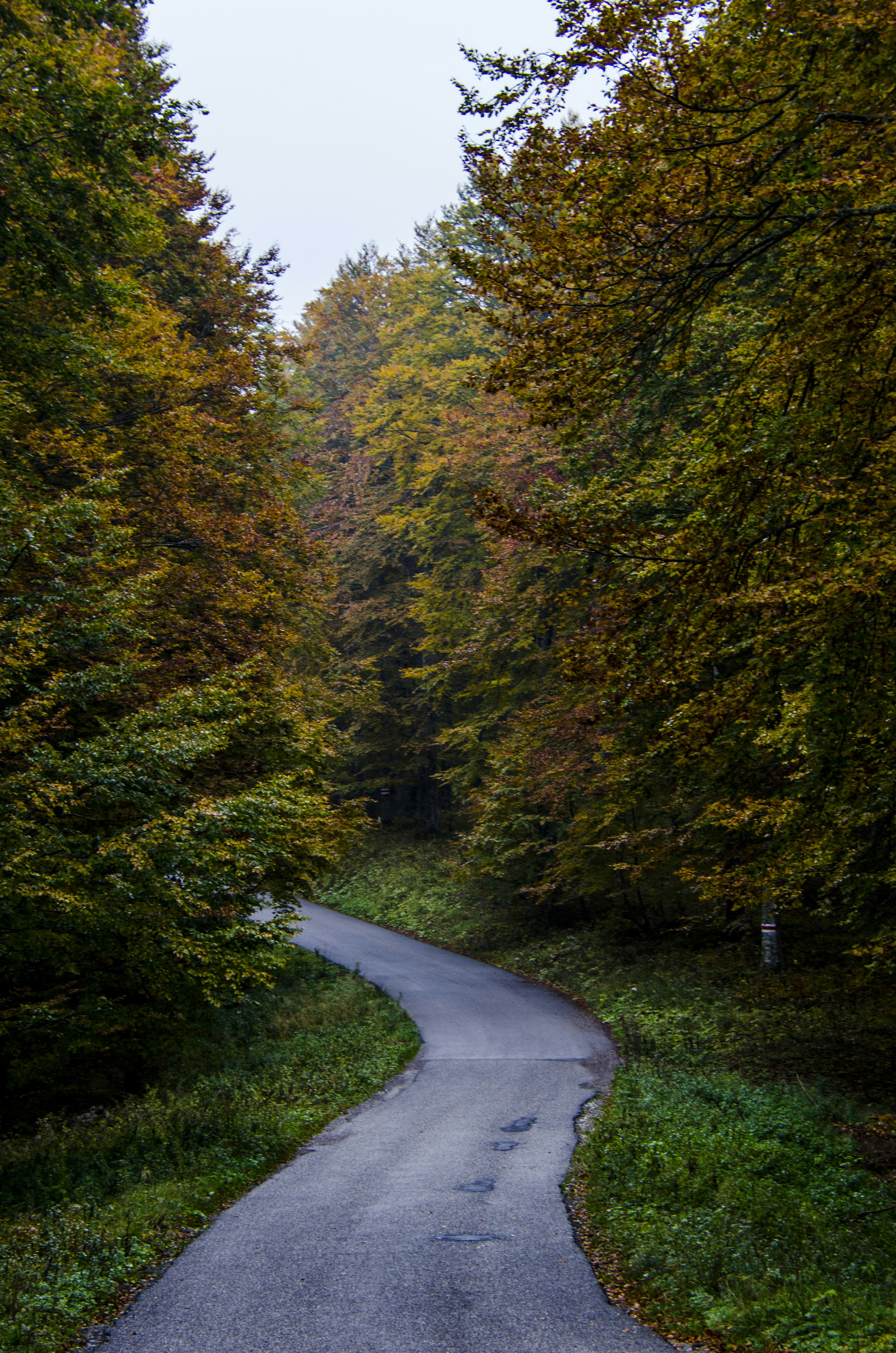 Photo by gopitri_prem