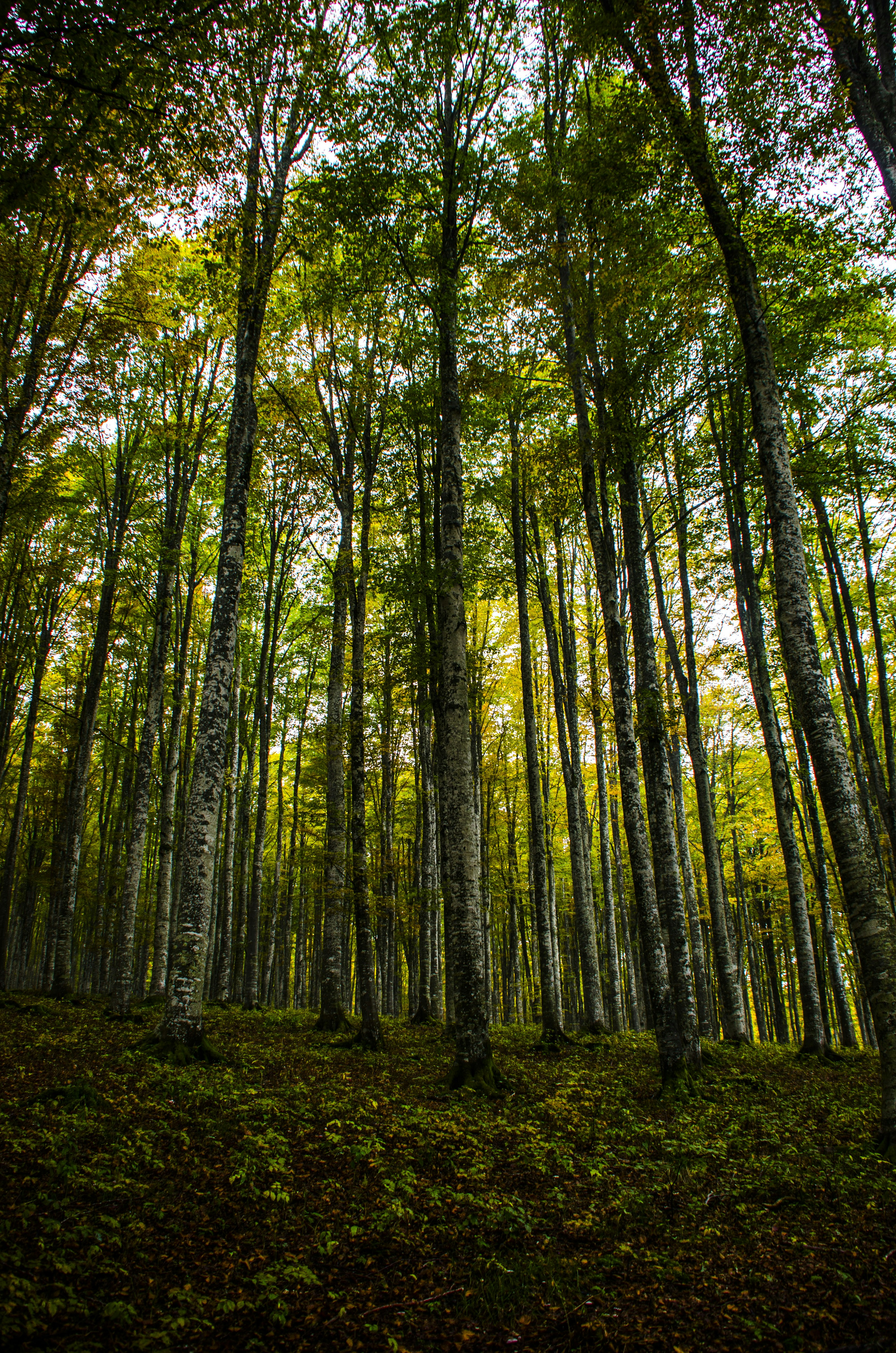 Photo by gopitri_prem