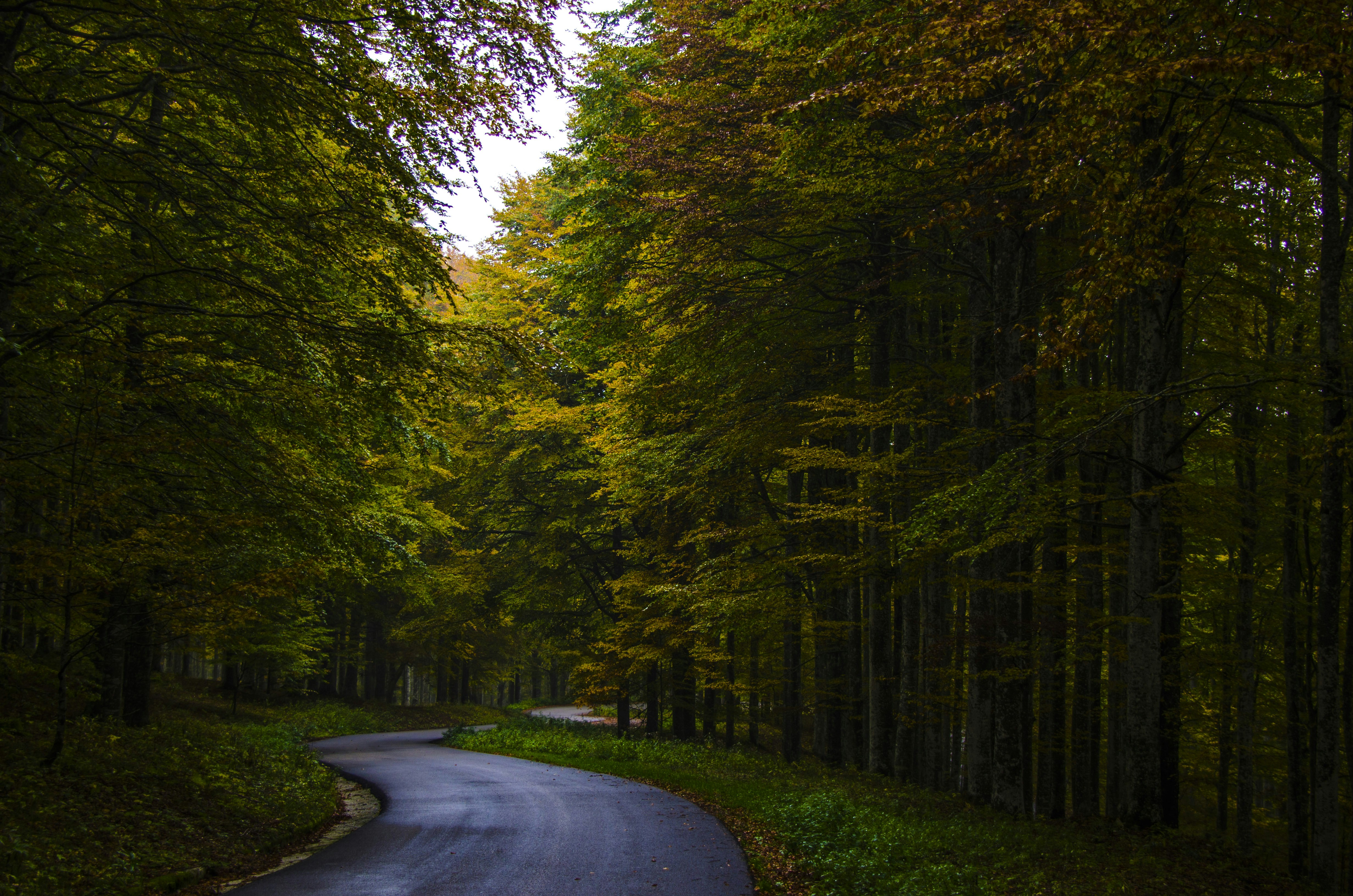 Photo by gopitri_prem