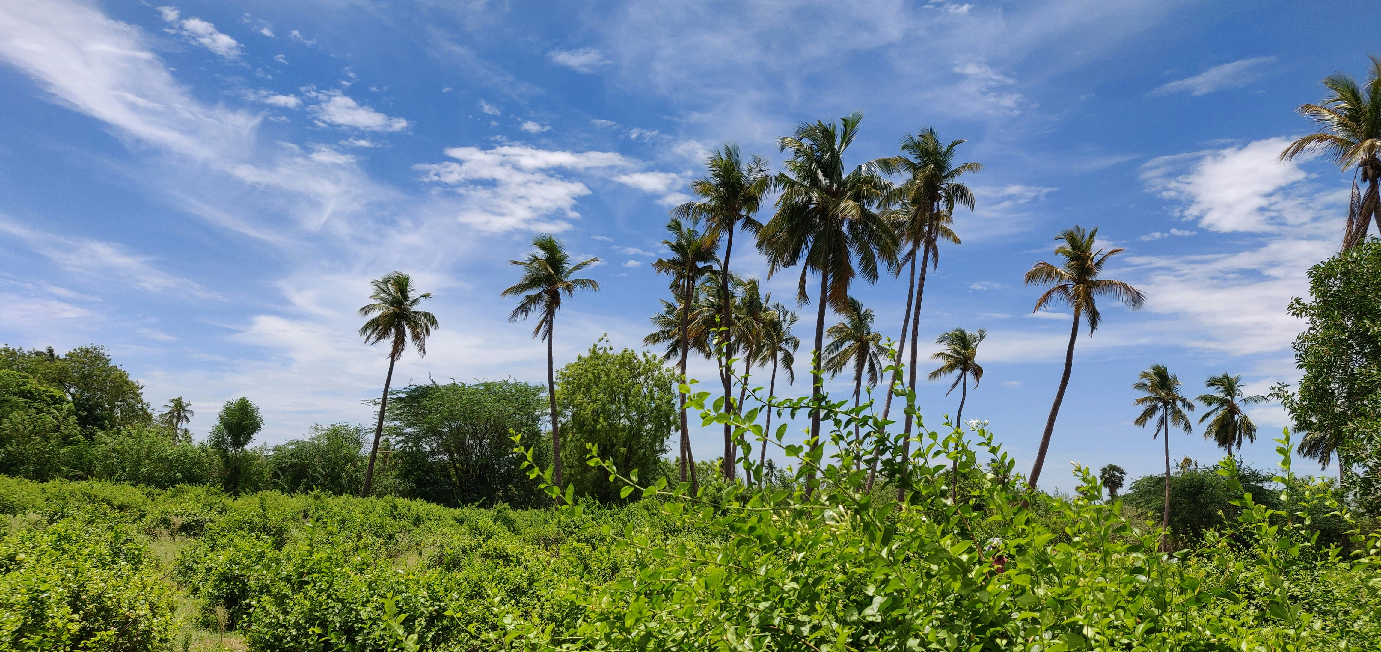 Photo by harshareddys