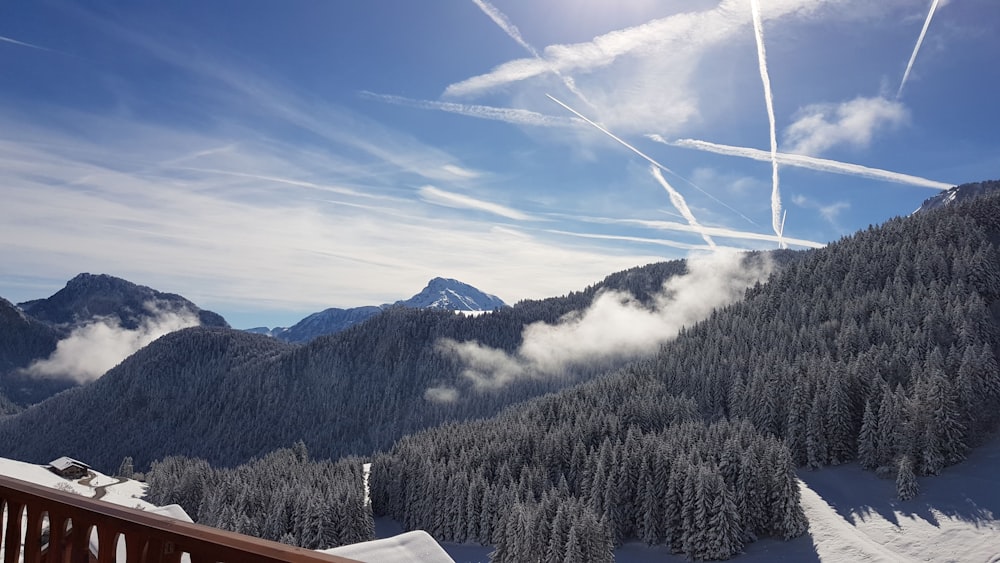 mountain and tree during daytime