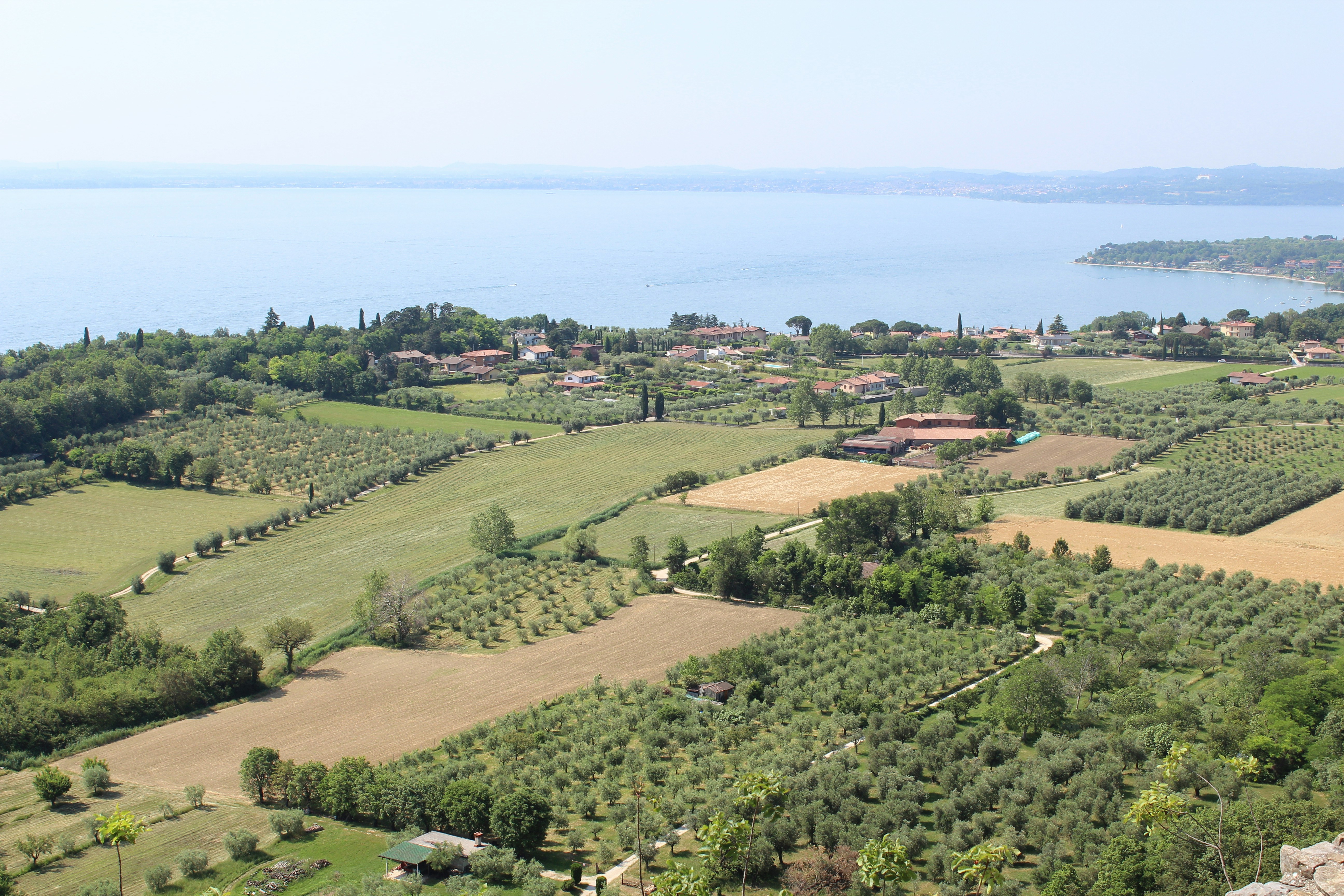 high-angle photography of farm covered with trees