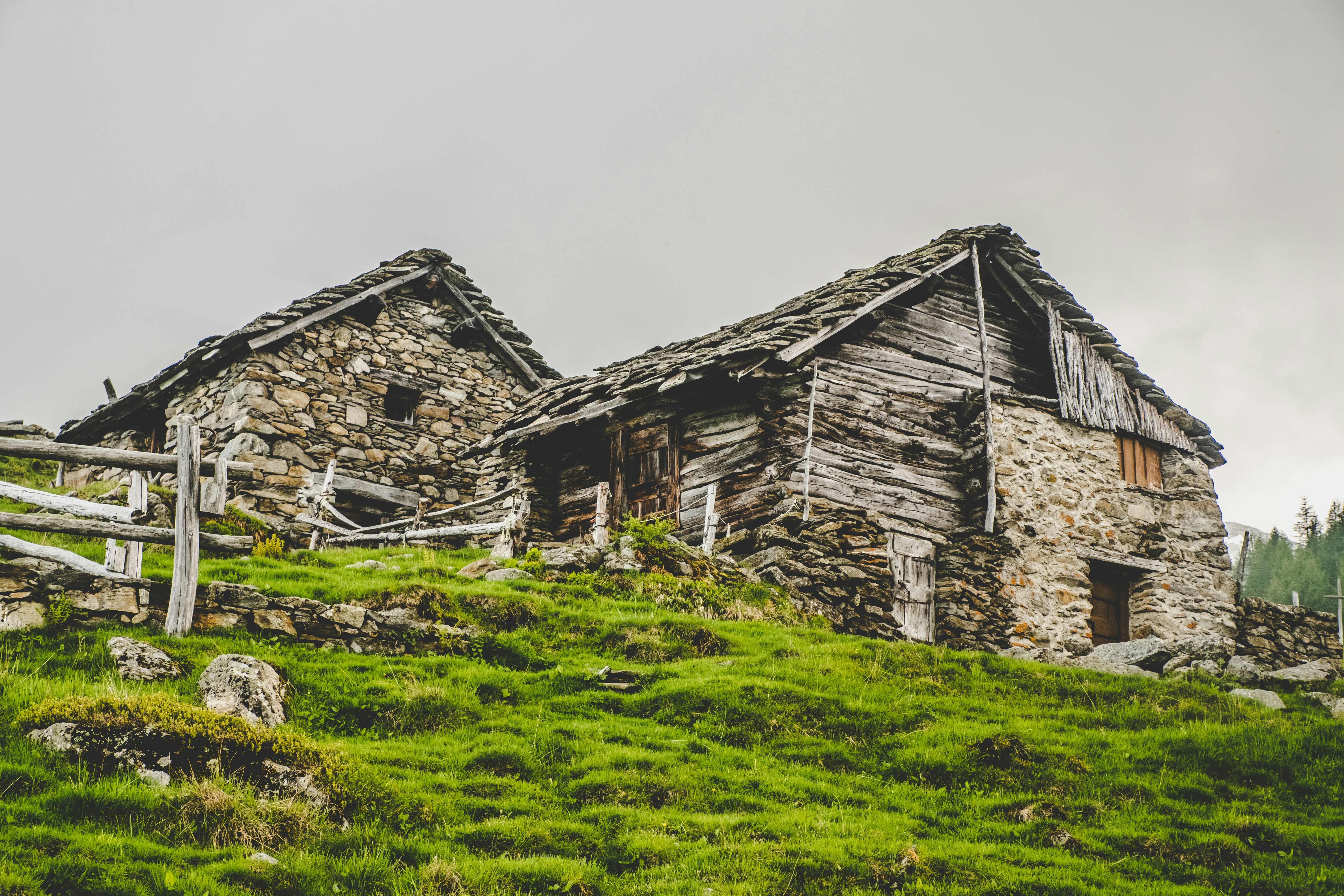 Photo by conti_photos