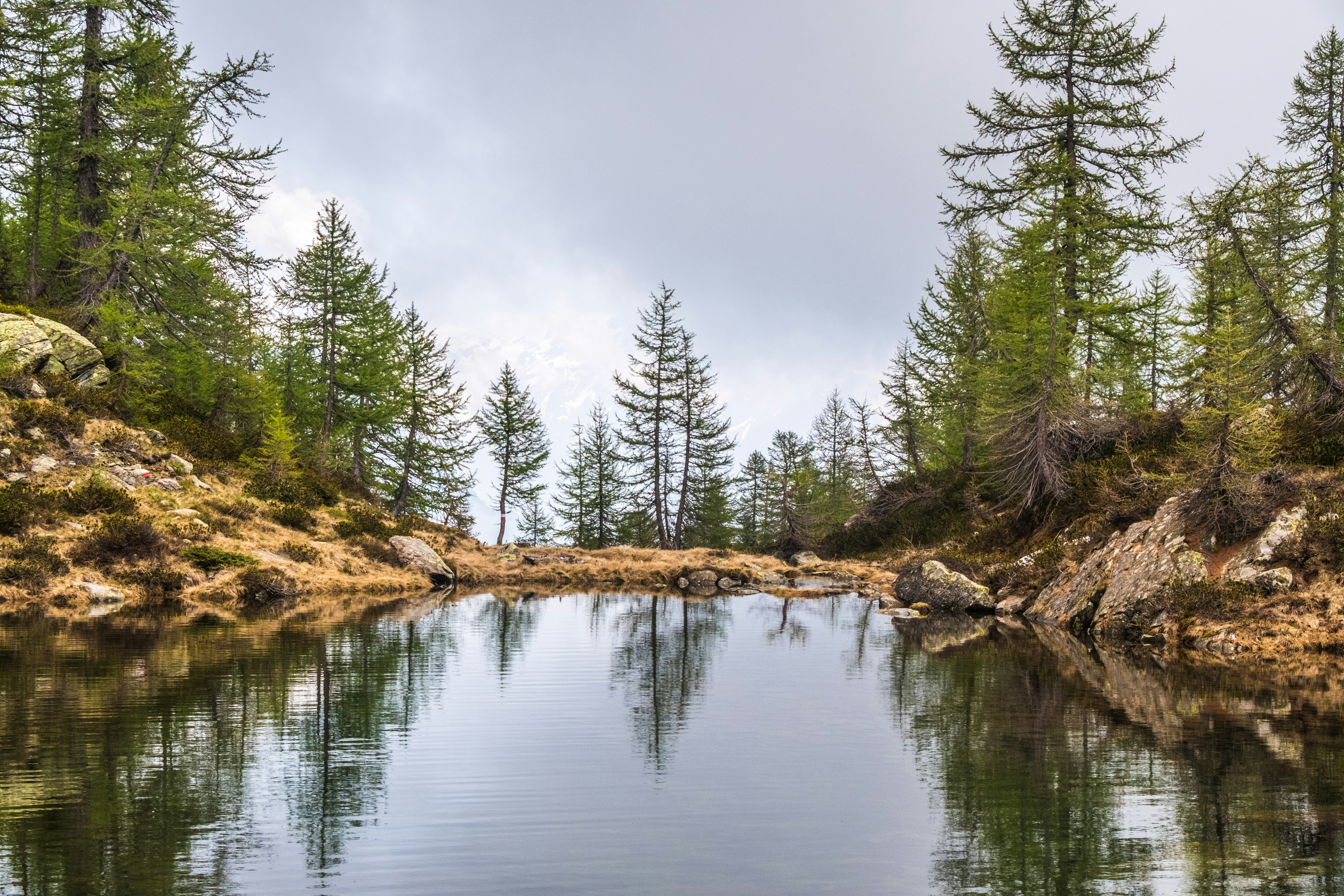 Photo by conti_photos