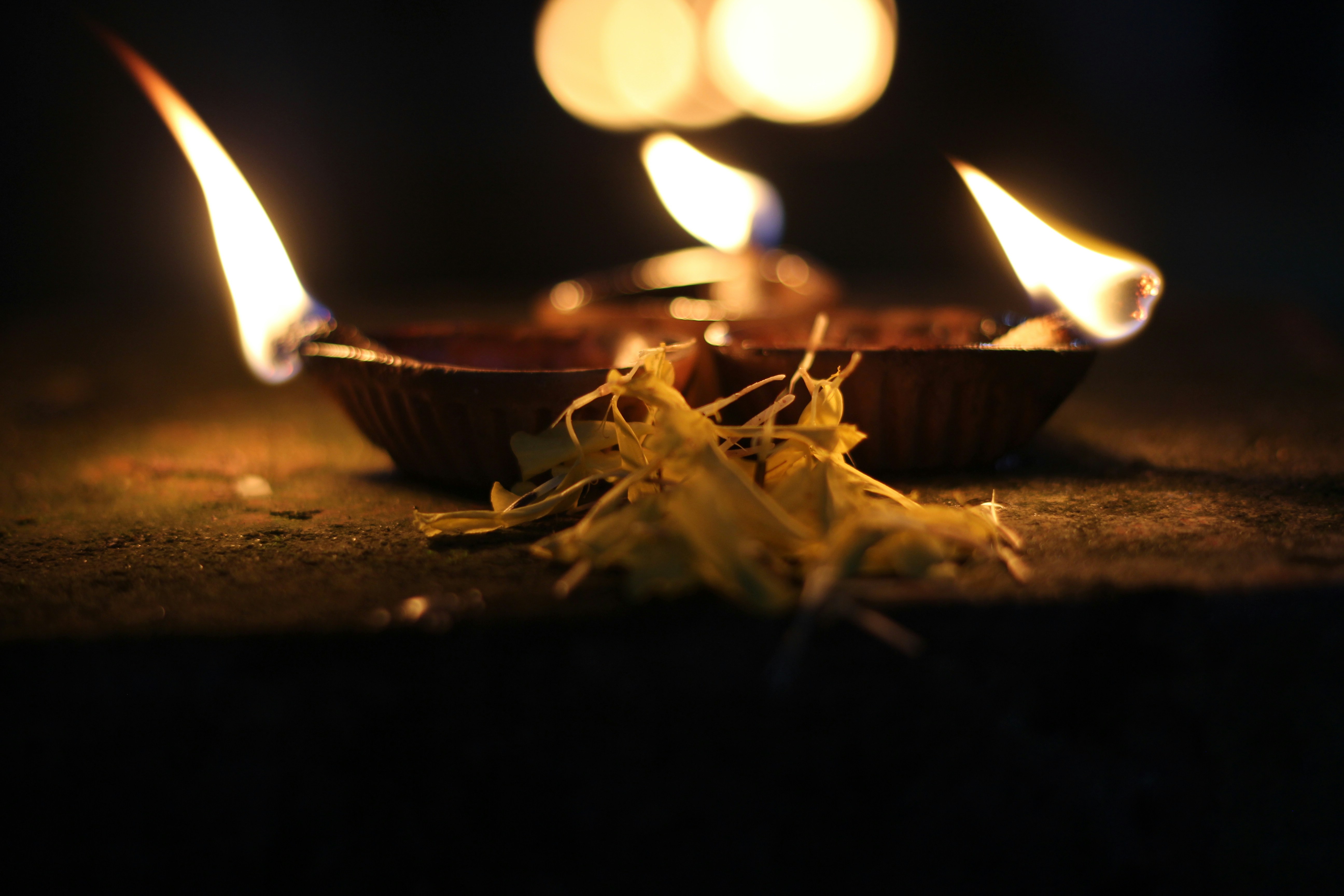 Free Diwali Greetings Maker Online - Create Heartfelt Wishes