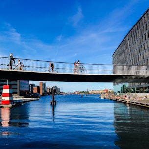 people crossing bridge