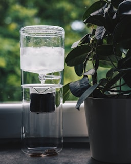 A glass cold brew coffee maker is placed on a windowsill. The device contains ice in the upper compartment, with coffee dripping into the lower section. To the right, there is a potted plant with large, glossy leaves. The background consists of a blurred, lush green scenery suggesting an outdoor view.