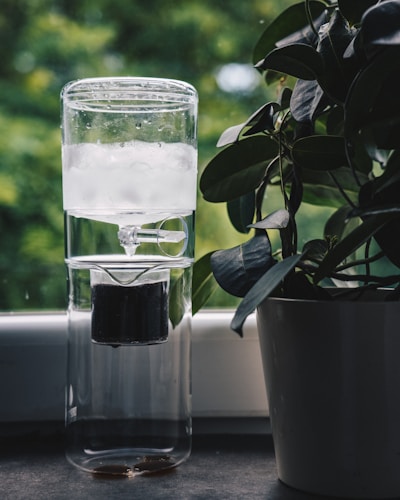 A glass cold brew coffee maker is placed on a windowsill. The device contains ice in the upper compartment, with coffee dripping into the lower section. To the right, there is a potted plant with large, glossy leaves. The background consists of a blurred, lush green scenery suggesting an outdoor view.