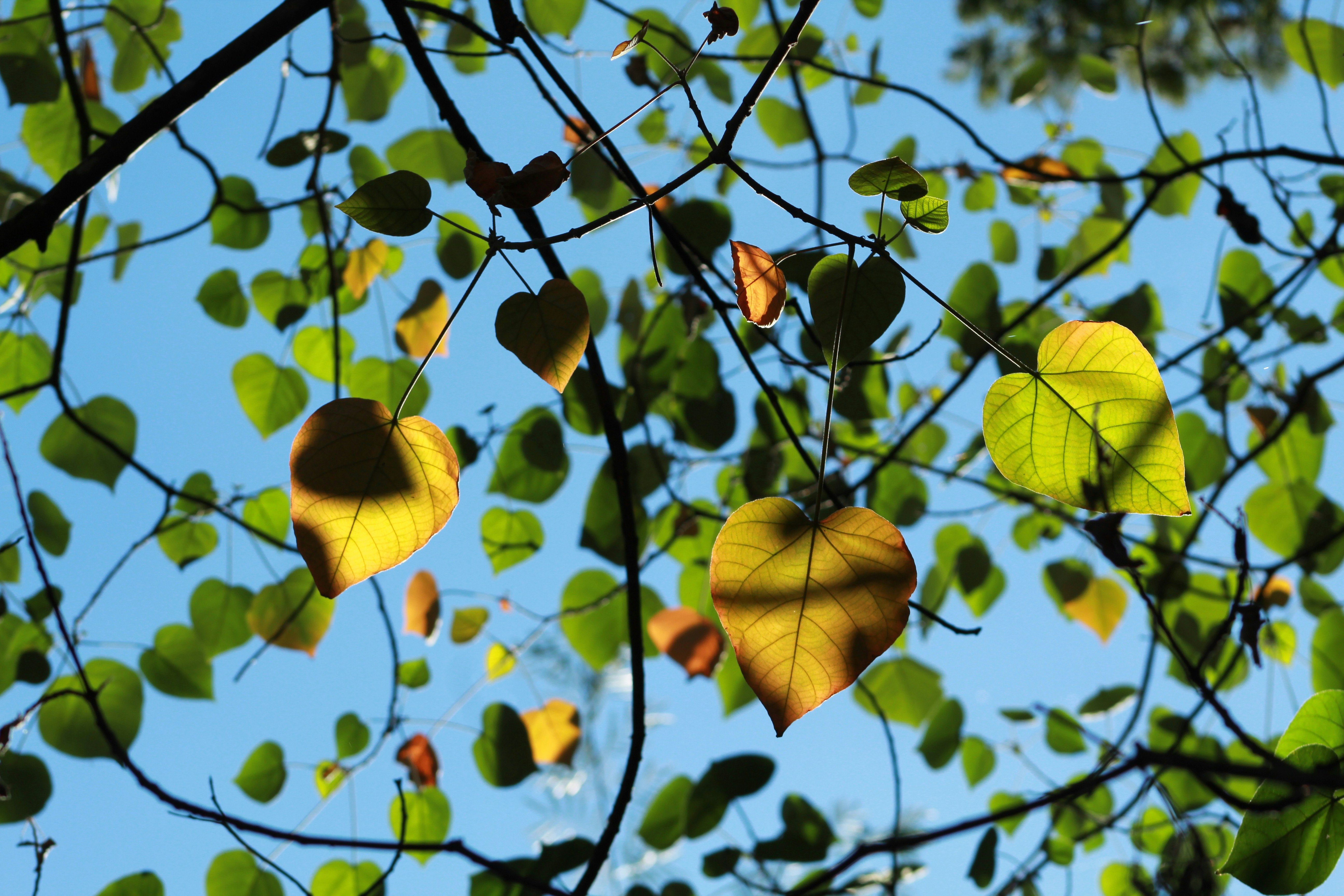 Photo by carmelita_rodrigues