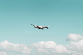 A cheerful cartoon cat pilot wearing aviator goggles, flying a small airplane through fluffy clouds.