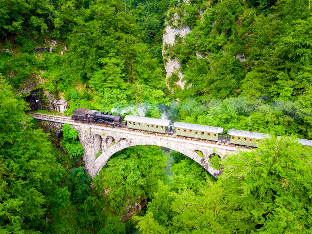 Weißer und schwarzer Zug, der über eine Betonbrücke fährt, die von hohen und grünen Bäumen umgeben ist