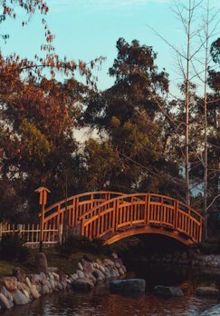 wooden bridge in pond