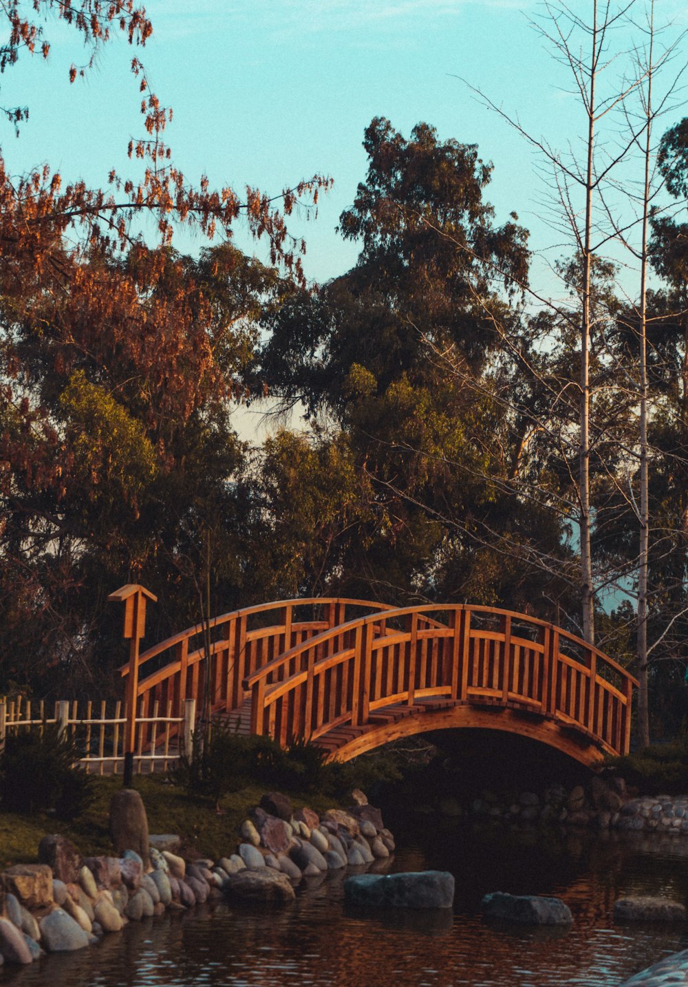 wooden bridge in pond