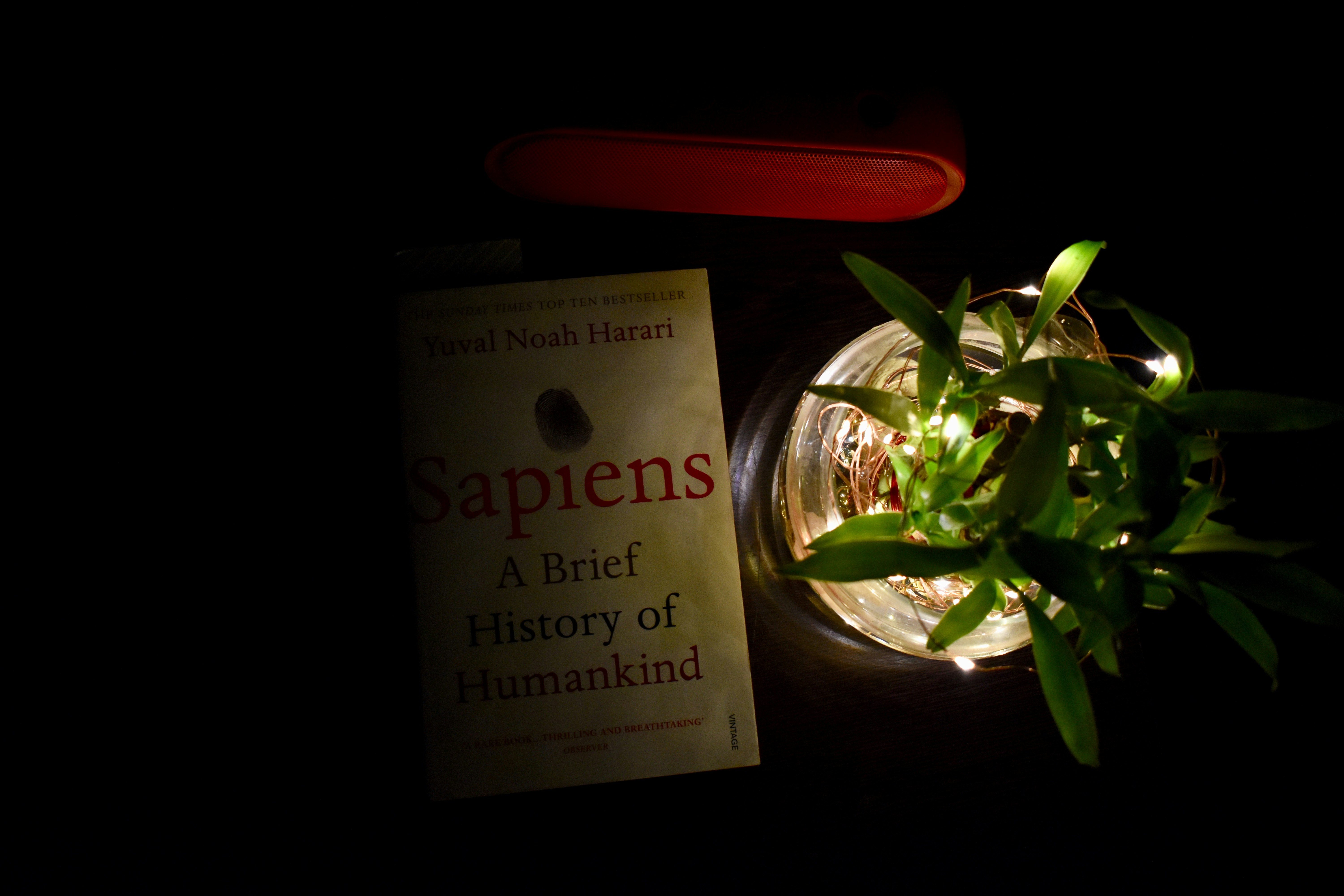 Bestseller Impression — Sapiens: A Brief History of Humankind, Yuval Harari