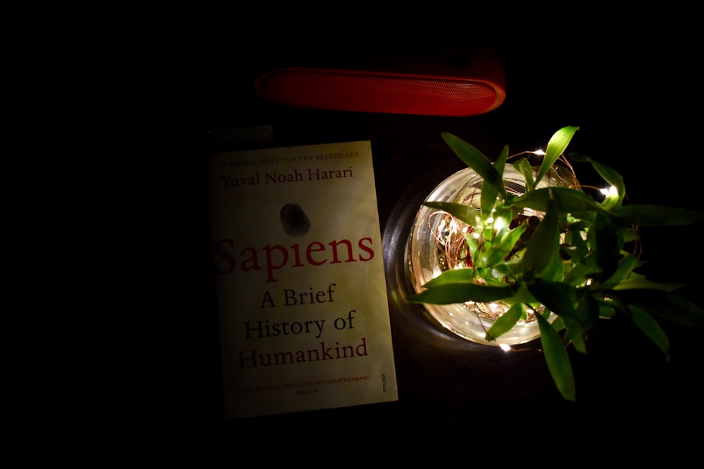 Livro de história sapiens da humanidade