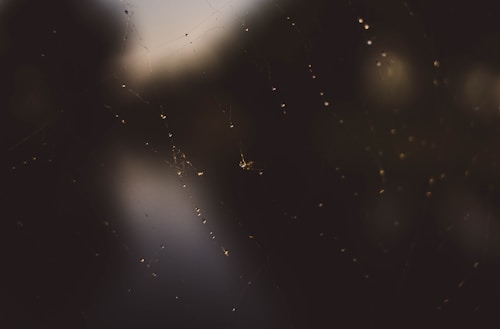 A dark, moody photograph focusing on a spider web with dew or moisture droplets. The background is blurred, creating a bokeh effect, and the spider web is the central focus with glistening drops catching the light.