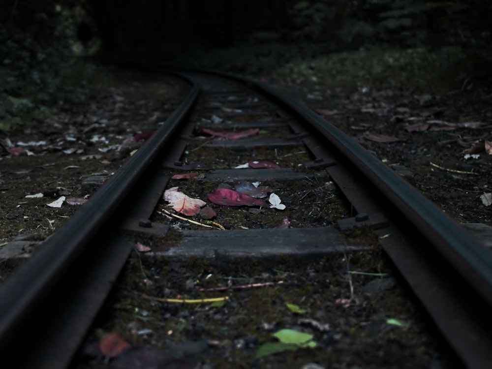 black railroad on focus photography