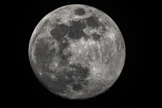 A detailed close-up of Earth's surface textures, emphasizing mountain ranges and ocean depths.