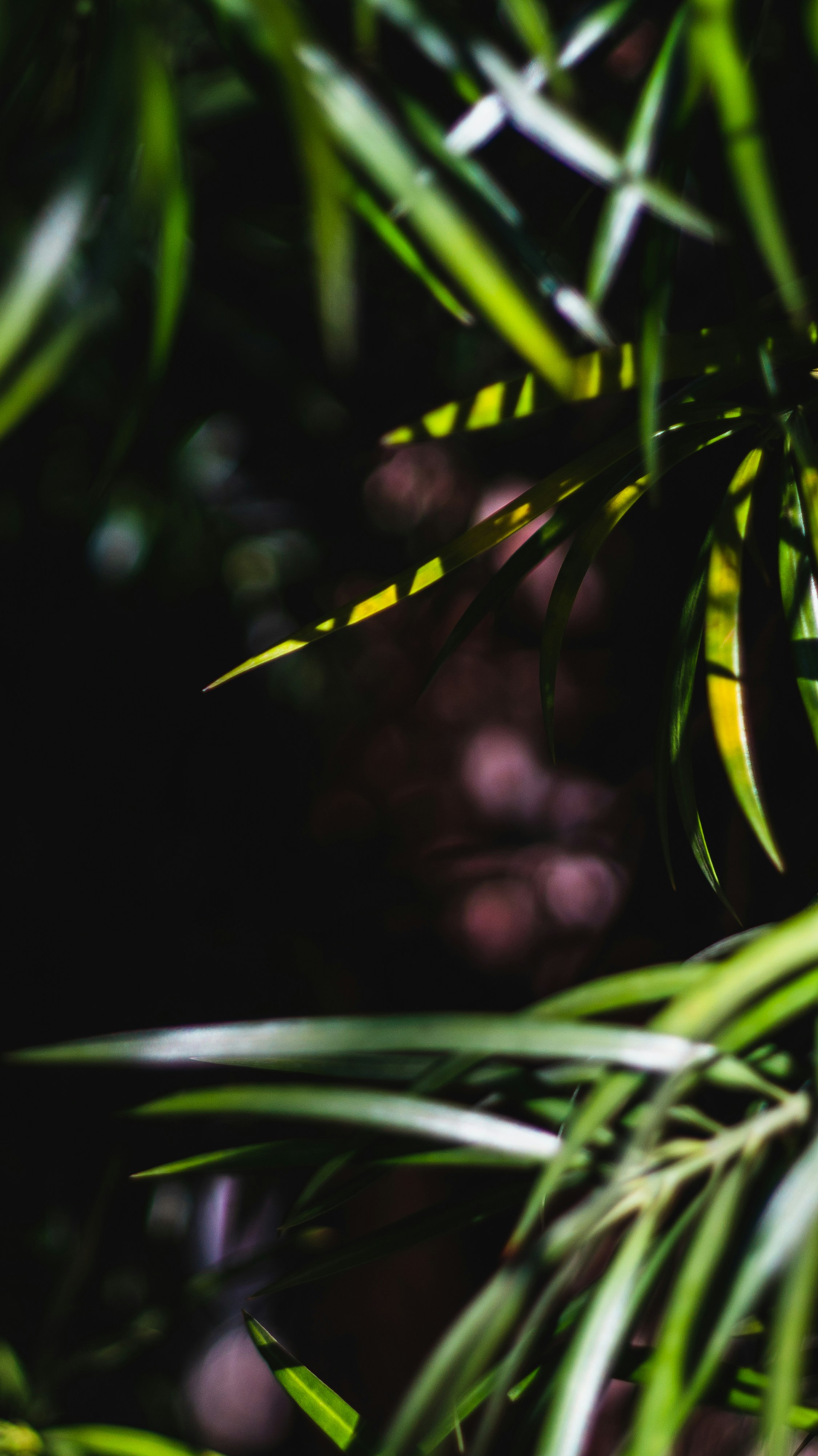 Photo by walterrandlehoff