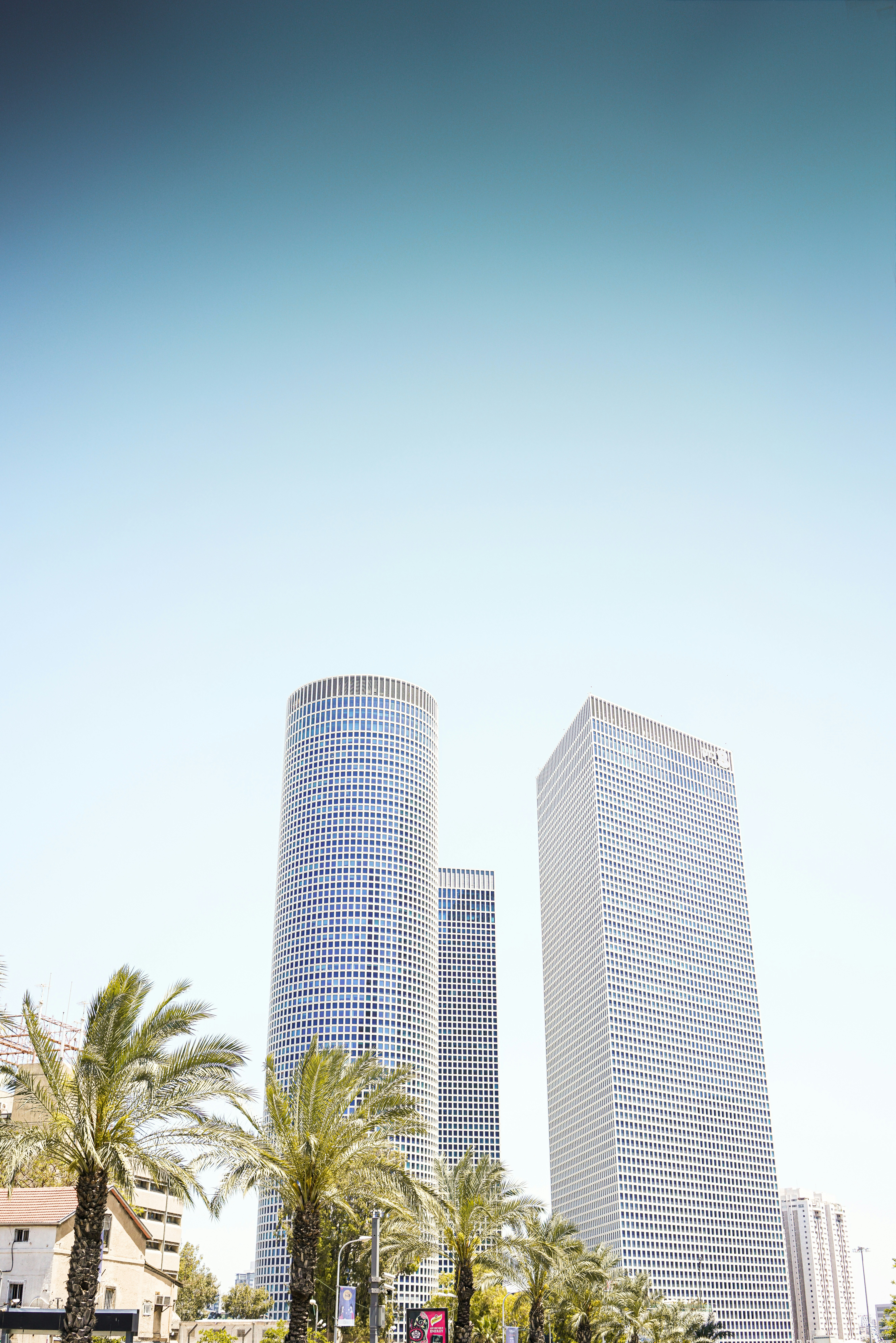 three high-rise buildings near palm trees