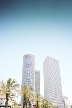 three high-rise buildings near palm trees