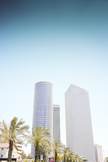 three high-rise buildings near palm trees
