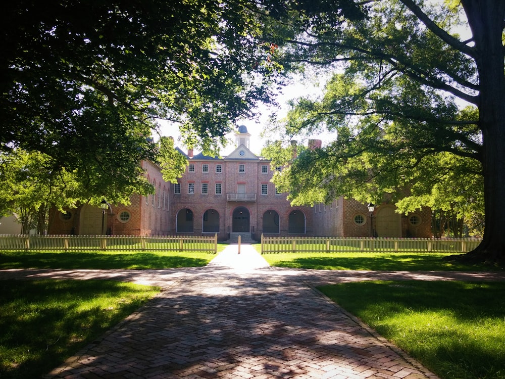 castle in front of trees during daytime