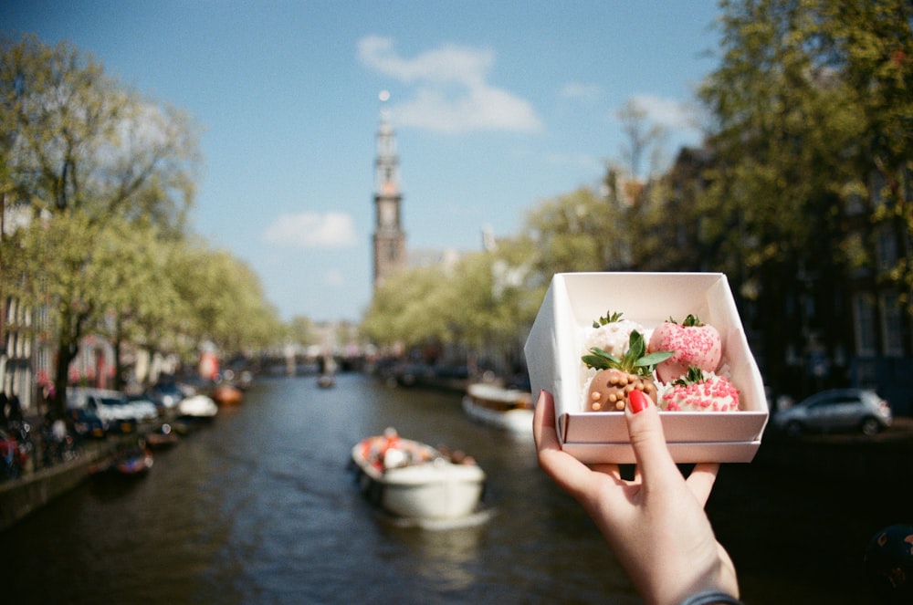 selective focus photography of person holding box