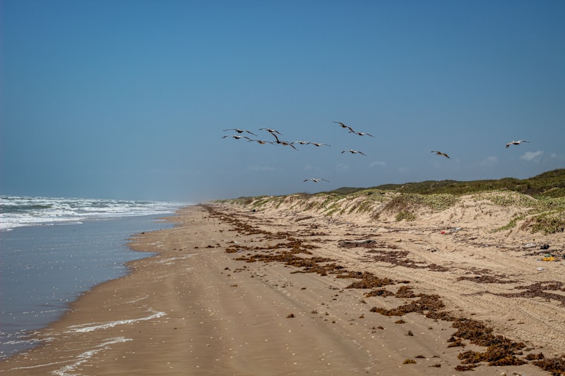 South Padre Island Beach Texas