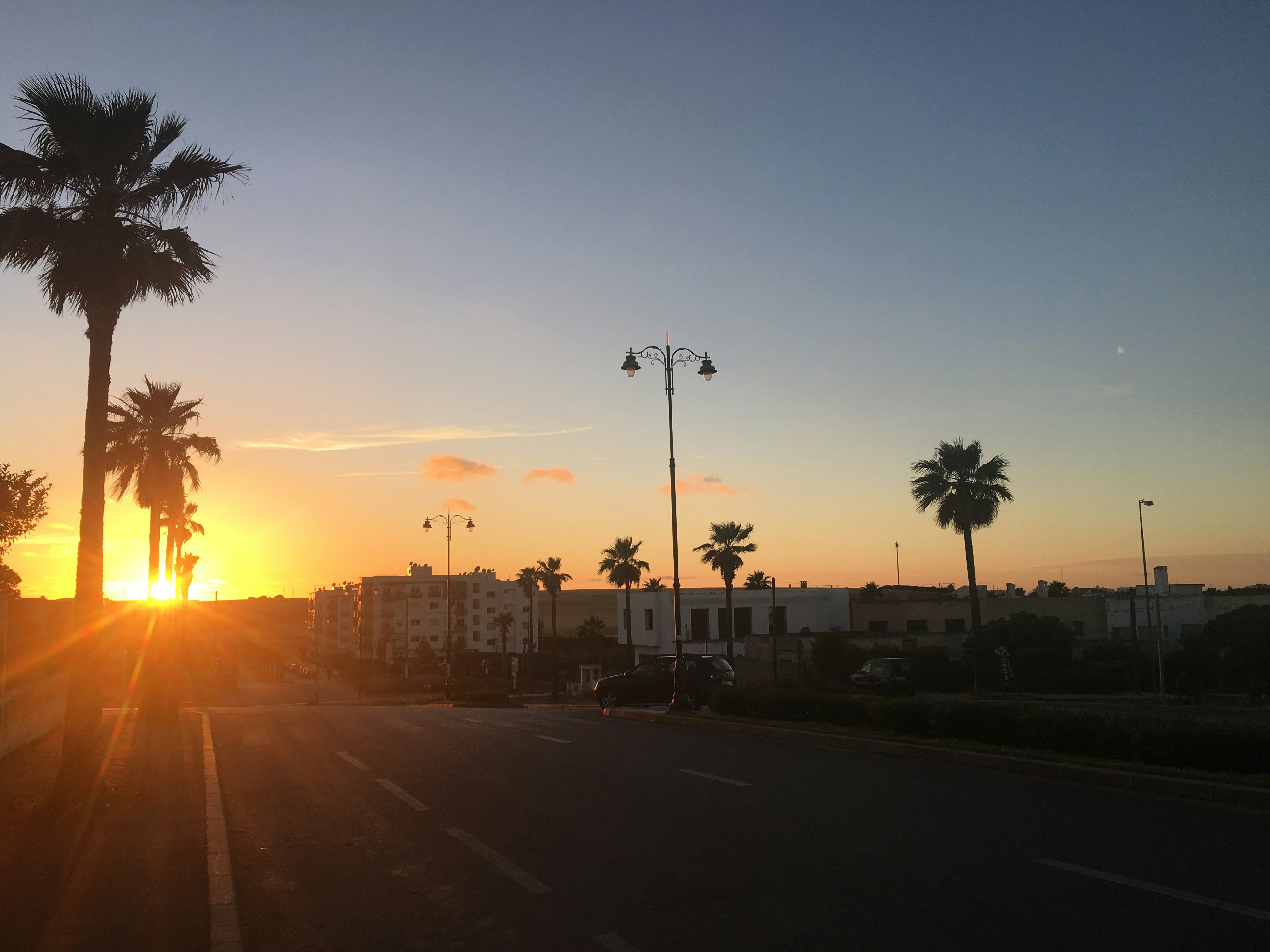 The sun is setting behind palm trees on the side of the road