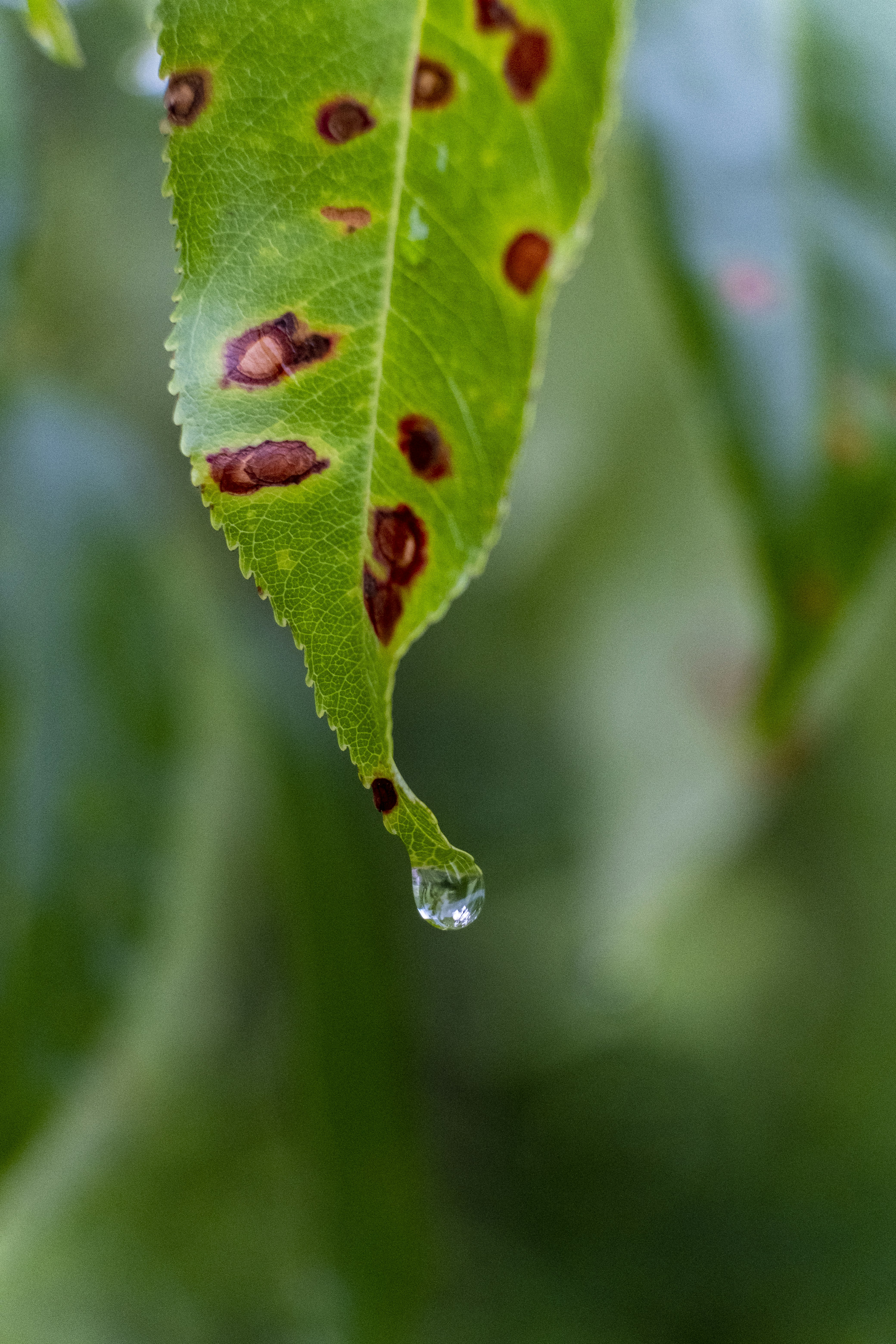 Photo by __matthoffman__