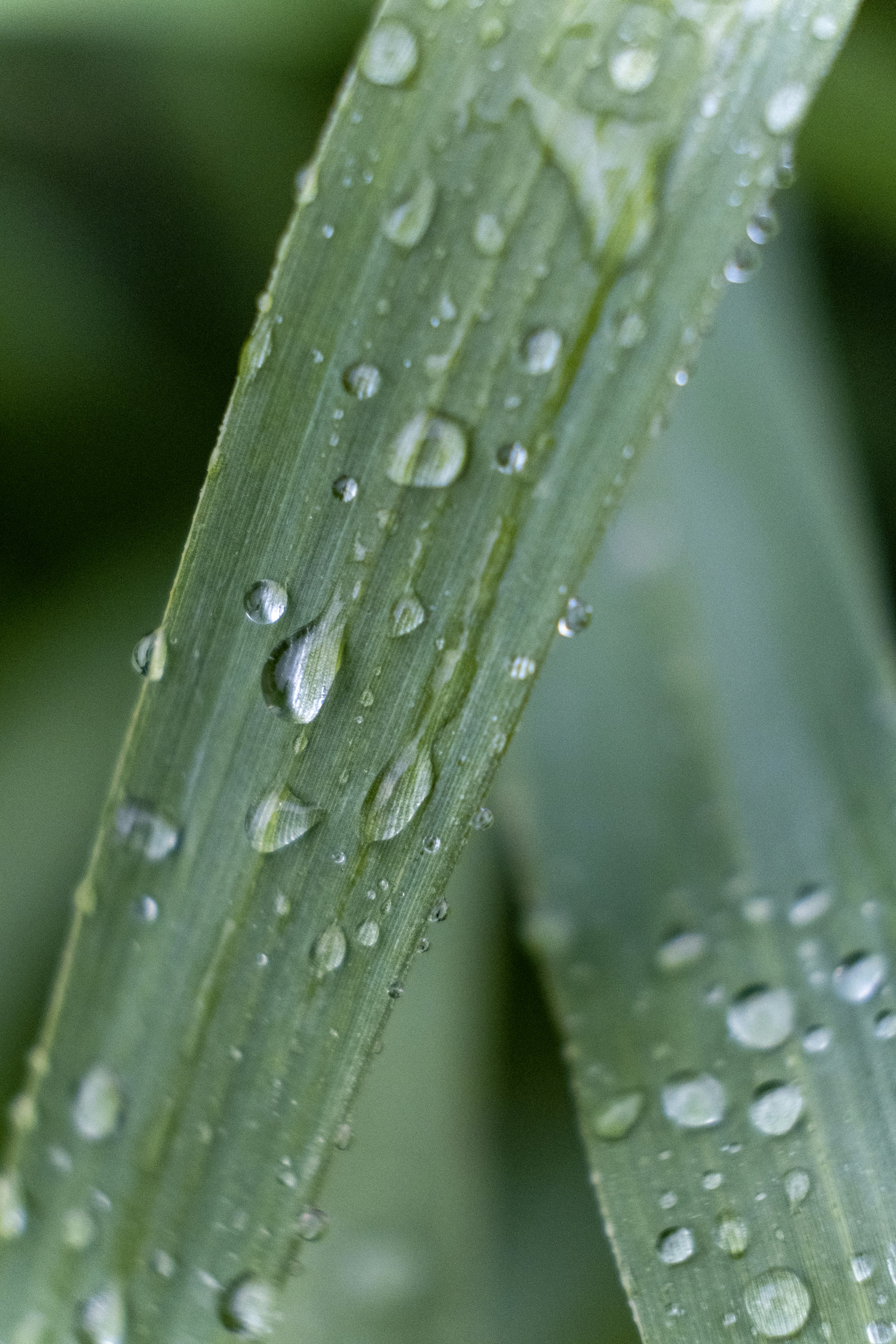 Photo by __matthoffman__