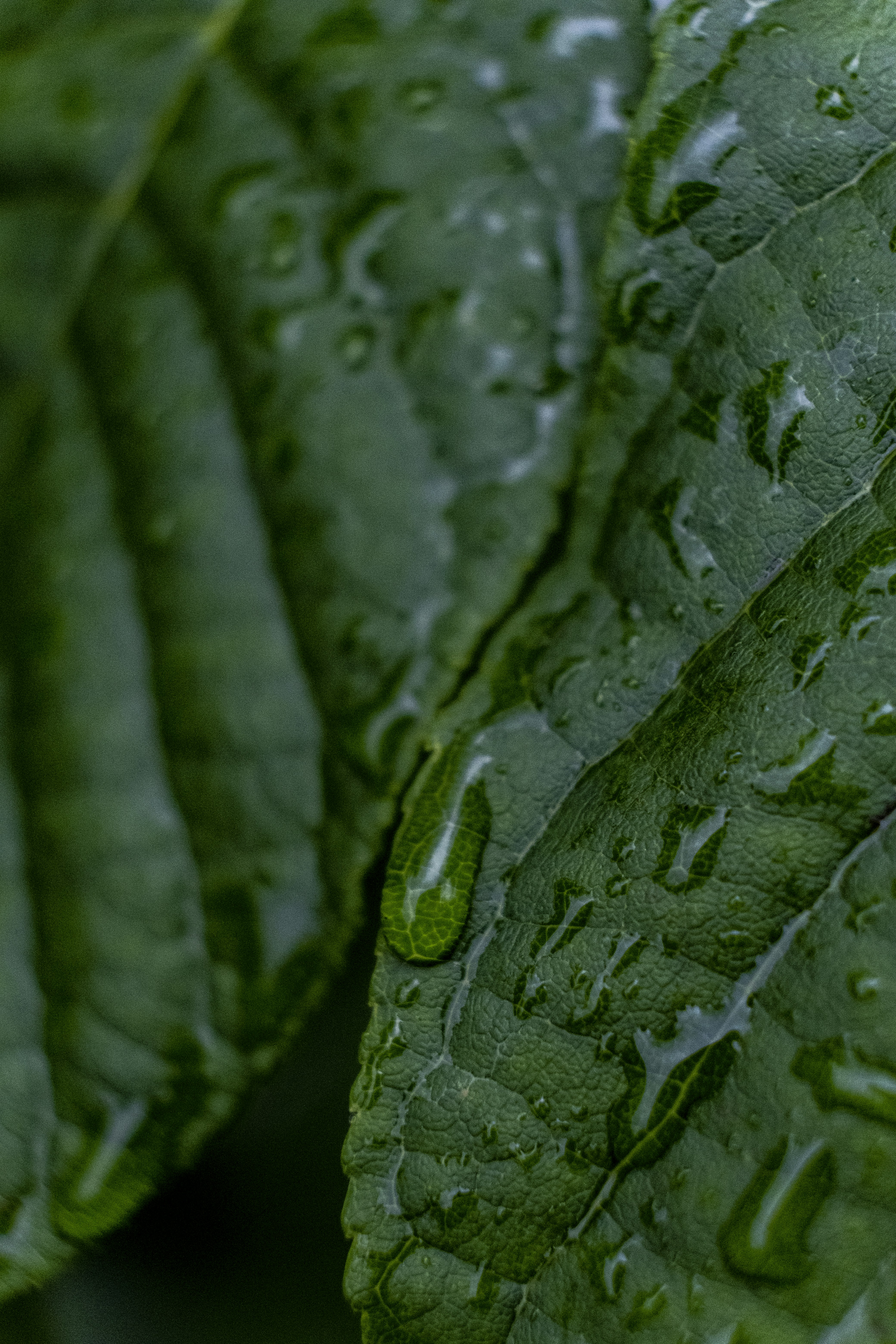 Photo by __matthoffman__