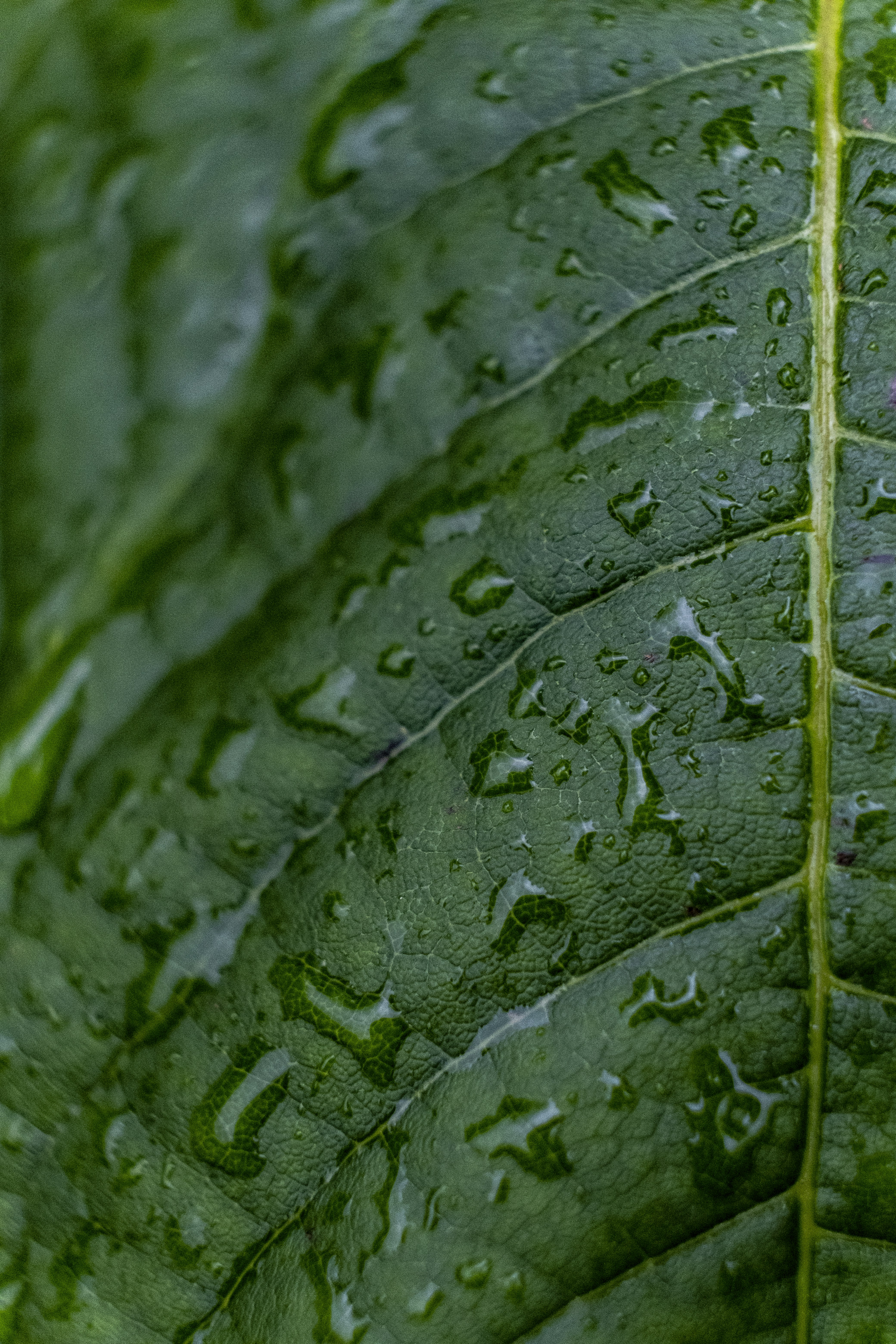 Photo by __matthoffman__