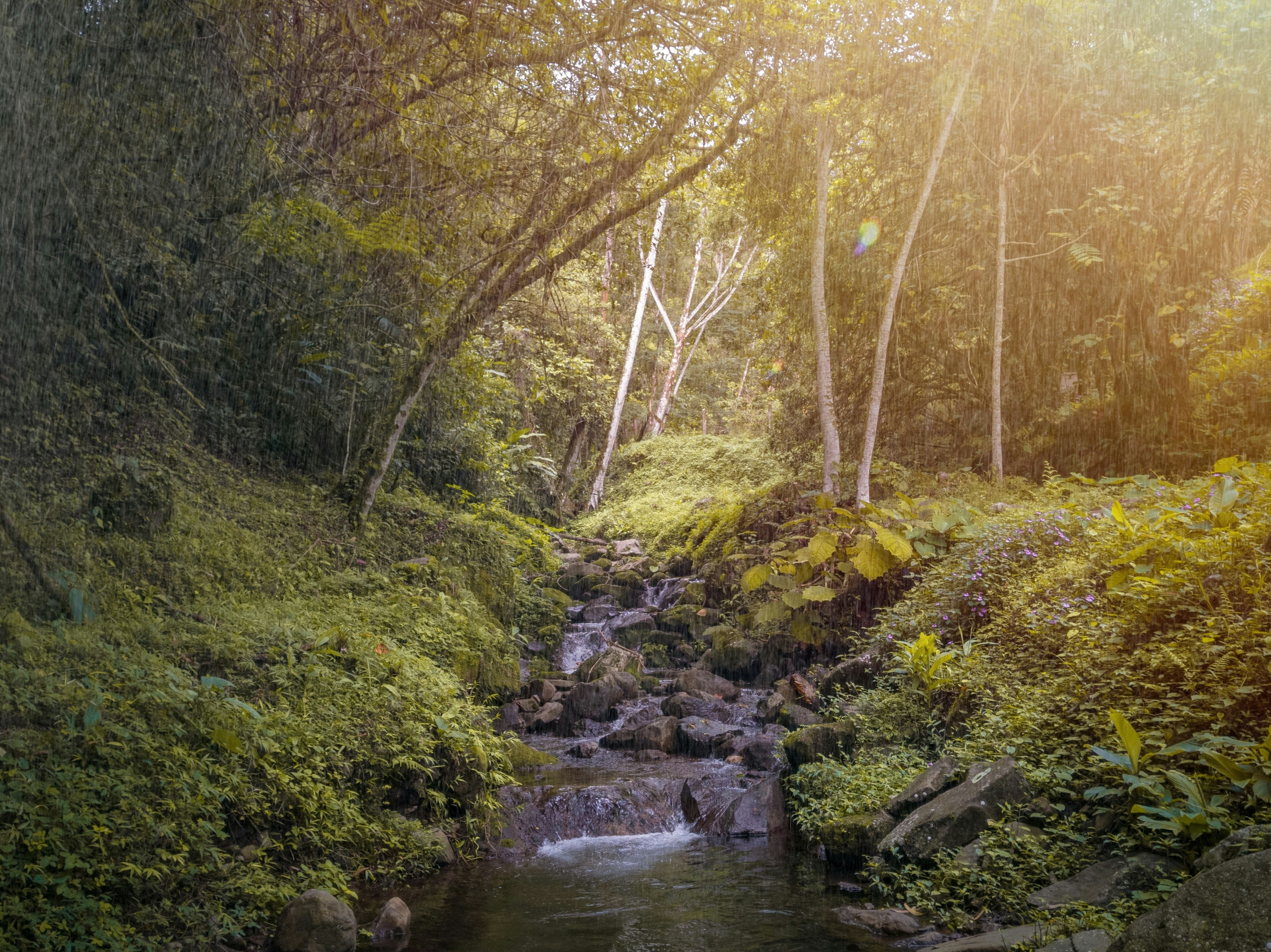 Photo by andres_acuna7