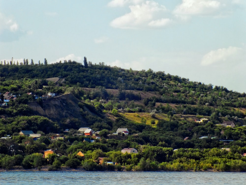 houses on hill surrounded with trees