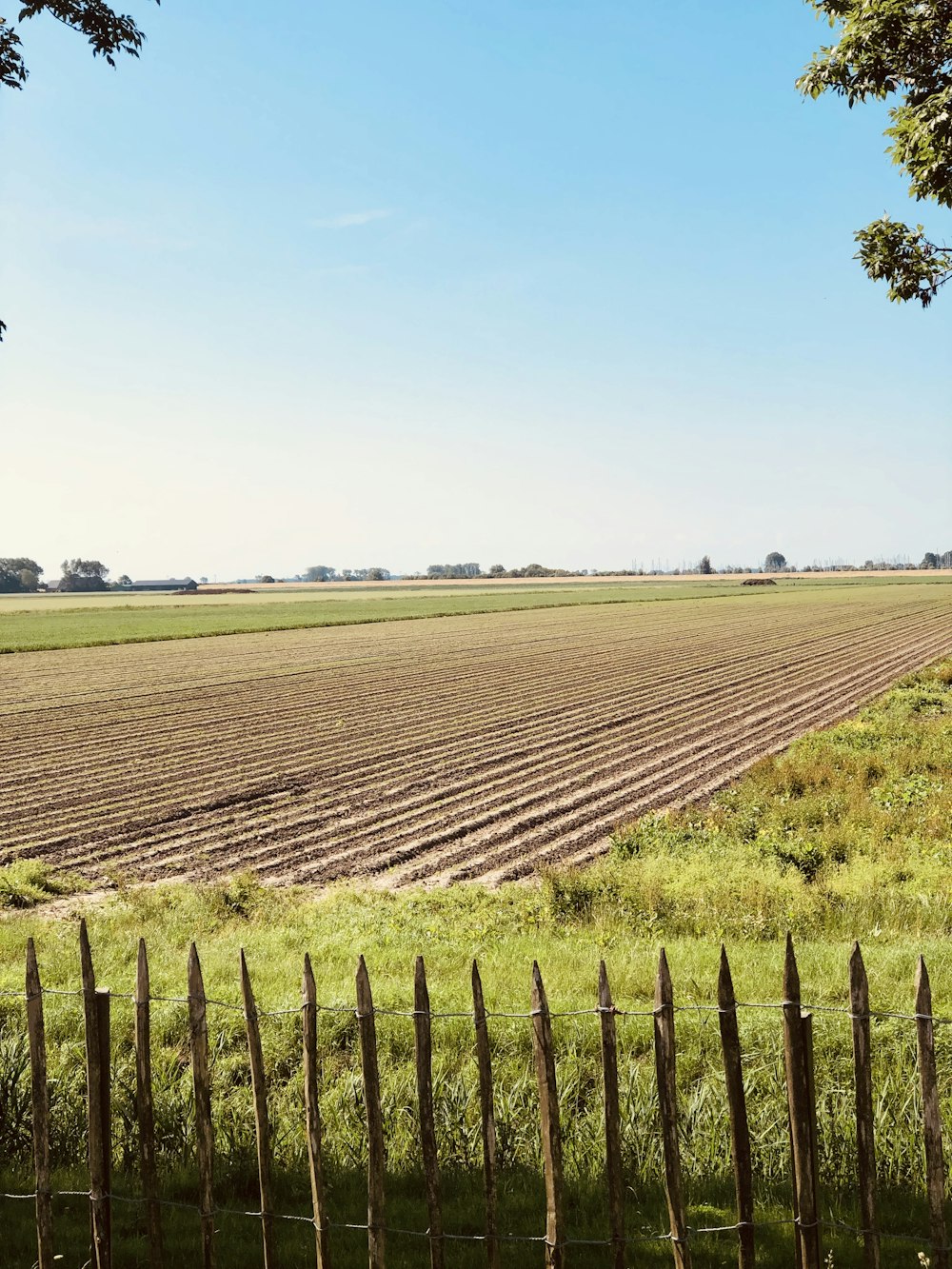 plowed soil between grass field