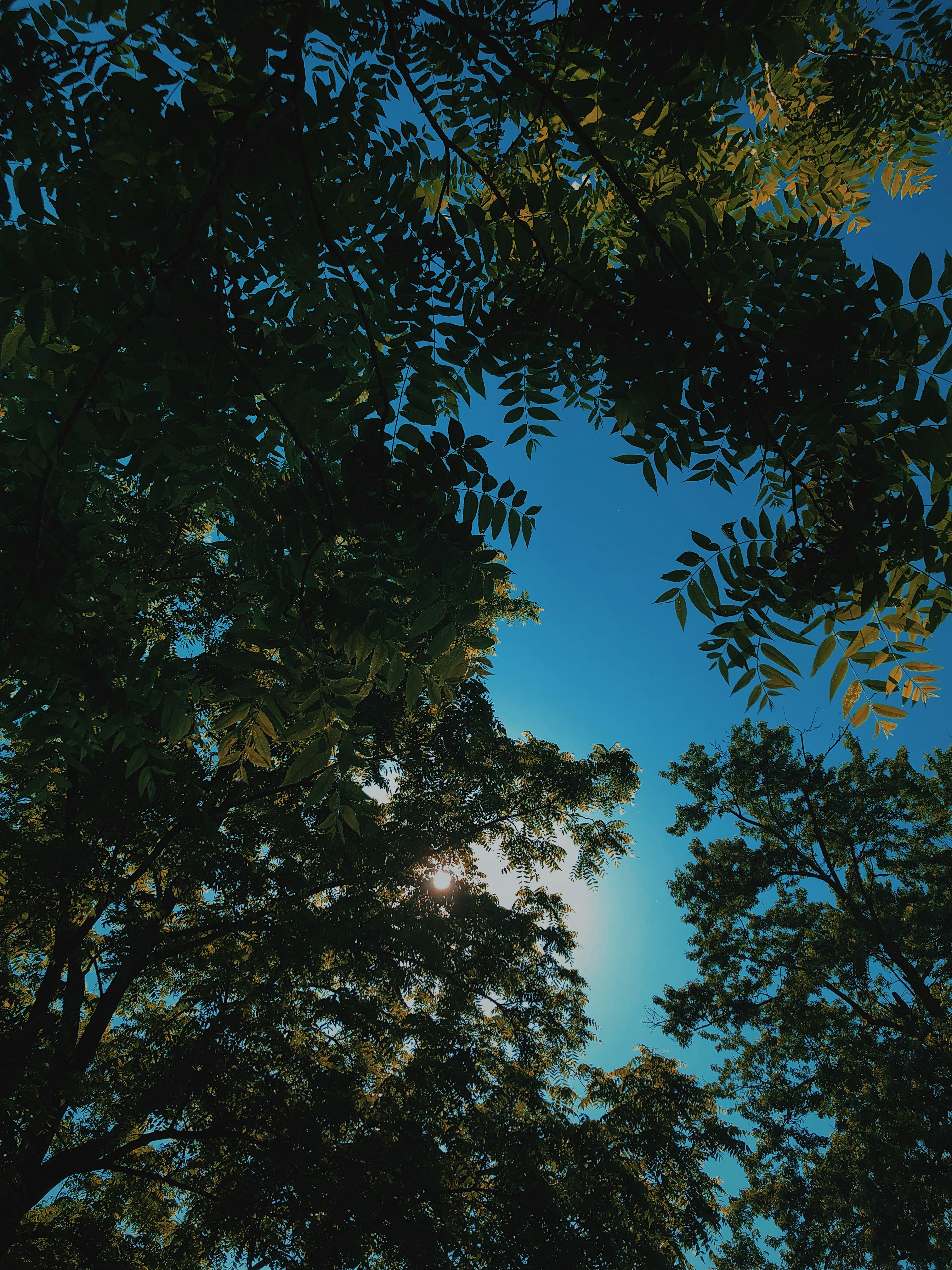 Photo by meganrandalll