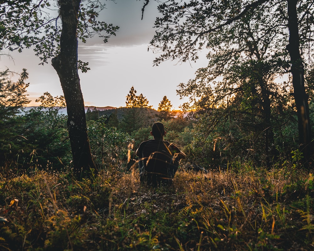 silhouette photo of man sitting on green and brown grass