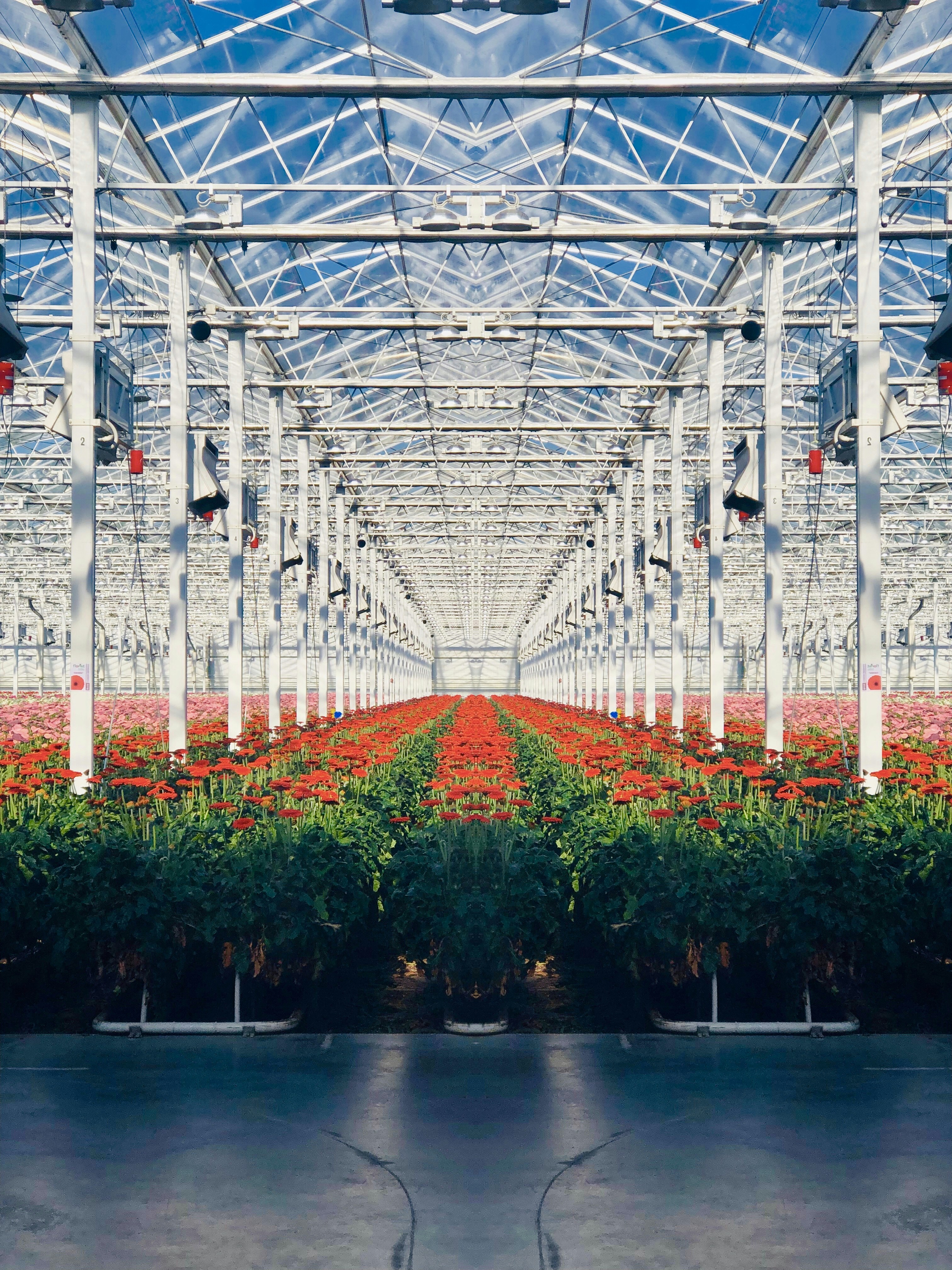 Photo by whoisdenilo