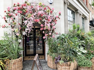 white building with baskets of plants at the front